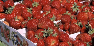 Hög tid för högtid med svenska jordgubbar